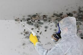 Best Air Quality Testing for Mold Spores  in Collierville, TN